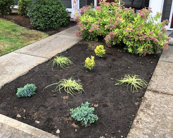 Sustainable plant bed (Photo: Octavio Gonzalez, Pacific Landscape Management)