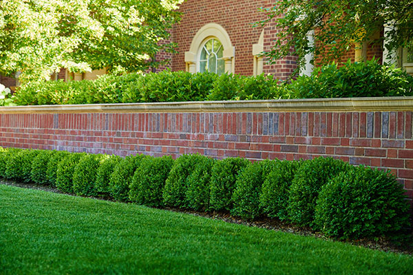 Maintenance project by CP Hort (Photo: Cornerstone Partners Horticultural Services)