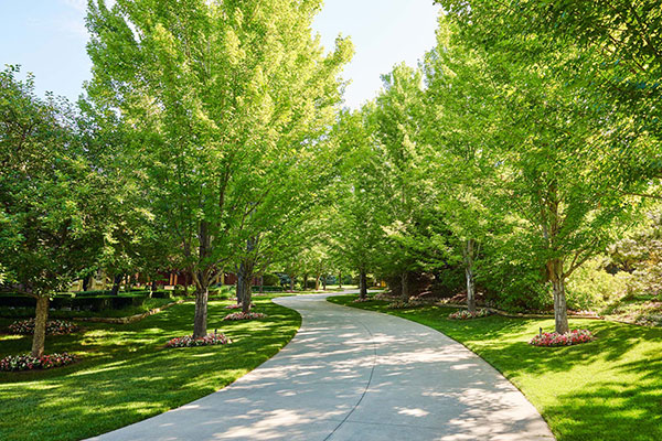 Maintenance project by CP Hort (Photo: Cornerstone Partners Horticultural Services)