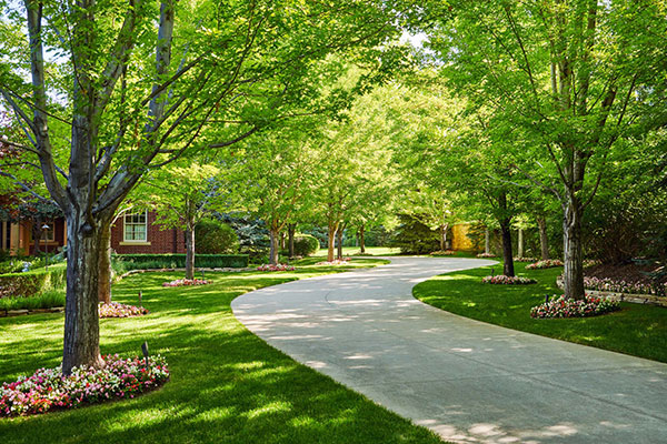 Maintenance project by CP Hort (Photo: Cornerstone Partners Horticultural Services)