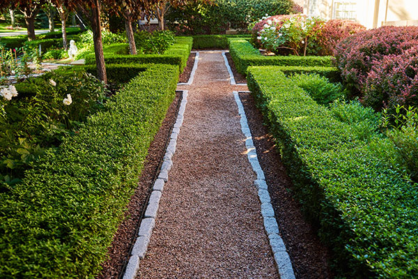 Maintenance project by CP Hort (Photo: Cornerstone Partners Horticultural Services)