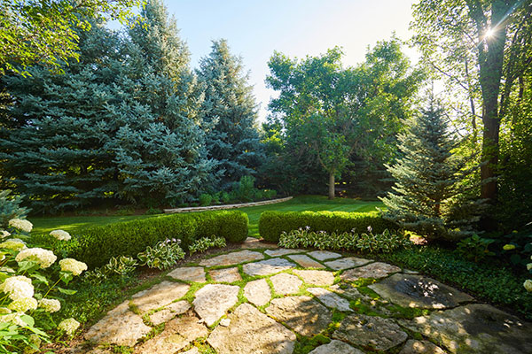 Maintenance project by CP Hort (Photo: Cornerstone Partners Horticultural Services)