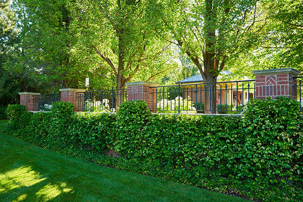 Maintenance project by CP Hort (Photo: Cornerstone Partners Horticultural Services)