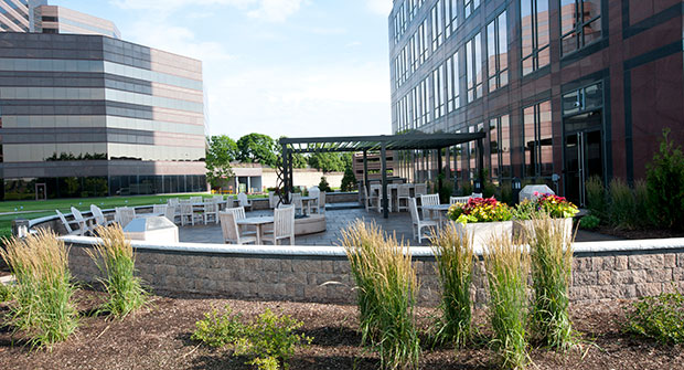 Design/build project by CP Hort (Photo: Cornerstone Partners Horticultural Services)