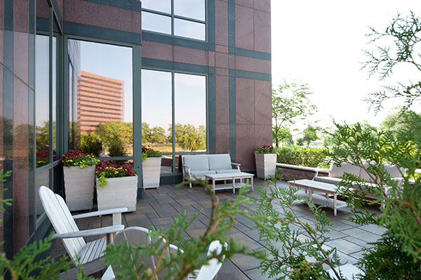 Design/build project by CP Hort (Photo: Cornerstone Partners Horticultural Services)