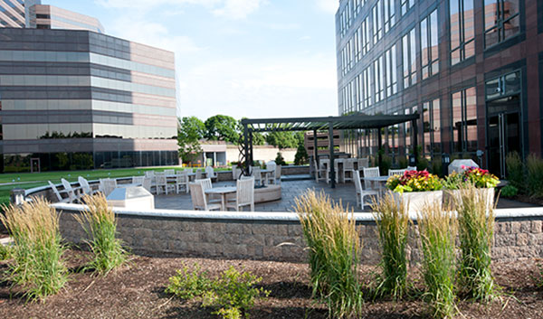 Design/build project by CP Hort (Photo: Cornerstone Partners Horticultural Services)