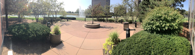 Design/build project by CP Hort (Photo: Cornerstone Partners Horticultural Services)
