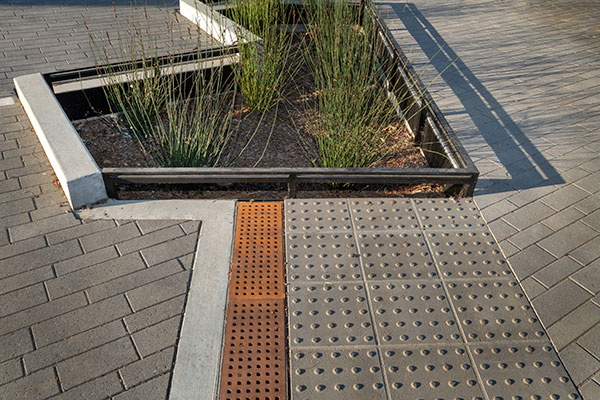 Irrigation project in housing development. (Photo: Pacific Coast Land Design)