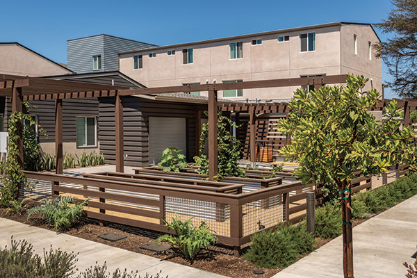 Irrigation project in housing development. (Photo: Pacific Coast Land Design)