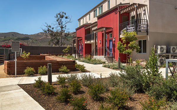 Irrigation project in housing development. (Photo: Pacific Coast Land Design)
