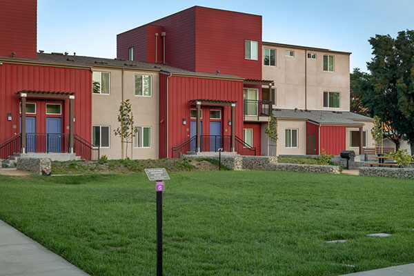 Irrigation project in housing development. (Photo: Pacific Coast Land Design)