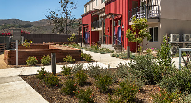 Irrigation project in housing development. (Photos: Pacific Coast Land Design)