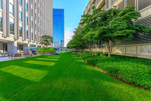 Landscape maintenance project (Photo: Ruppert Landscape)