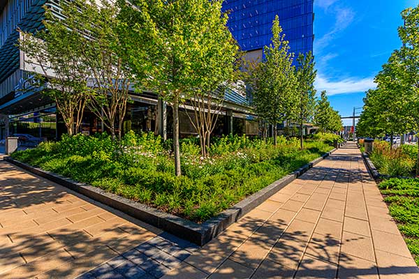 Landscape maintenance project (Photo: Ruppert Landscape)
