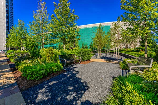Landscape maintenance project (Photo: Ruppert Landscape)