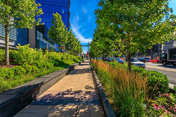 Landscape maintenance project (Photo: Ruppert Landscape)
