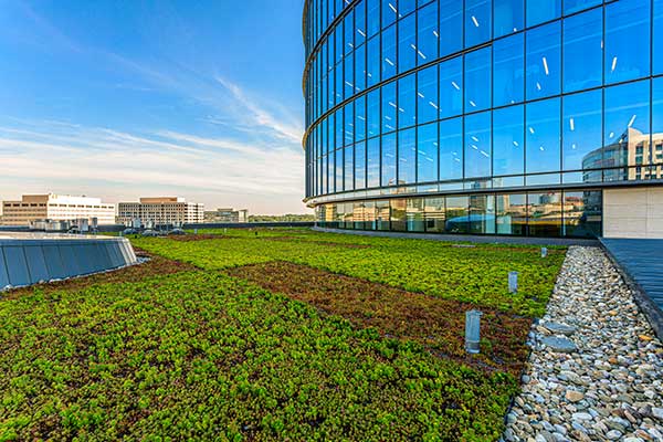Landscape maintenance project (Photo: Ruppert Landscape)