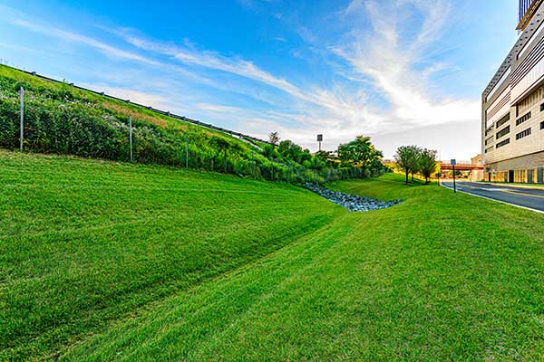 Landscape maintenance project (Photo: Ruppert Landscape)