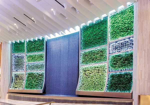 Green wall project (Photo: AgroSci)