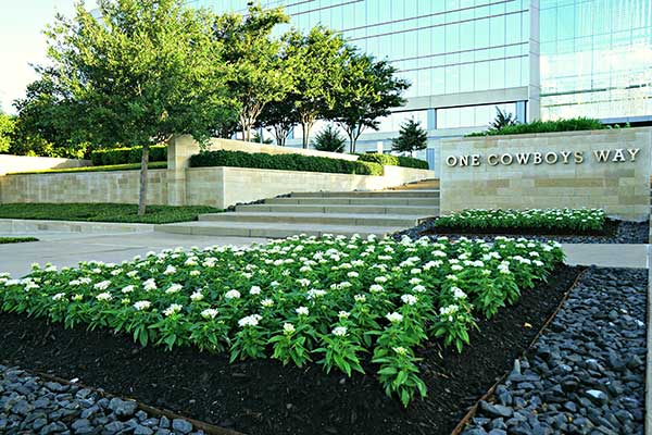 Landscape maintenance project (Photo: Superscapes)