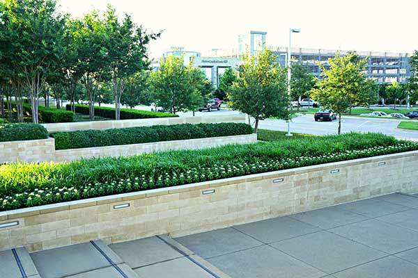 Landscape maintenance project (Photo: Superscapes)