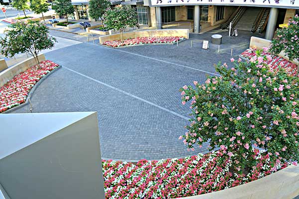 Landscape maintenance project (Photo: Superscapes)