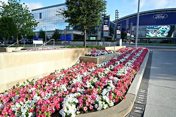 Landscape maintenance project (Photo: Superscapes)