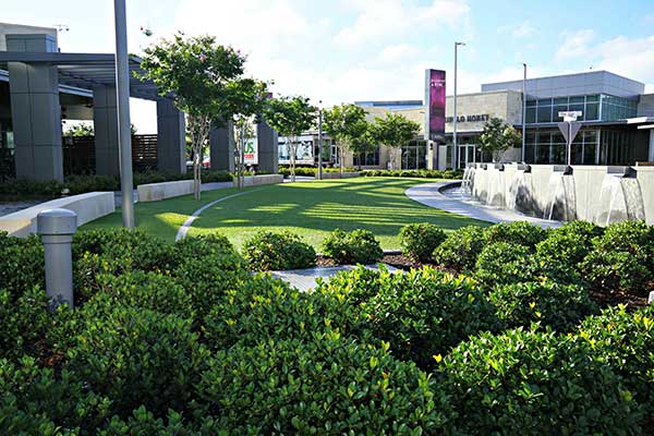 Landscape maintenance project (Photo: Superscapes)