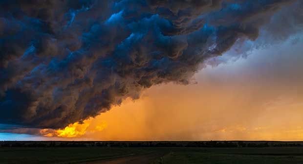 Photo: BeyondImages /iStock / Getty Images Plus/Getty Images