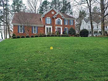 Lawn in Virginia (Photo: Virginia Green Lawn Care)