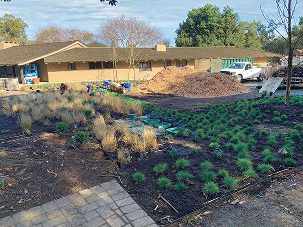 Irrigation renovation project (Photo: Gachina Landscape Management)