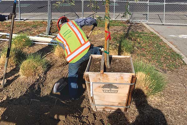 Irrigation renovation project (Photo: Gachina Landscape Management)