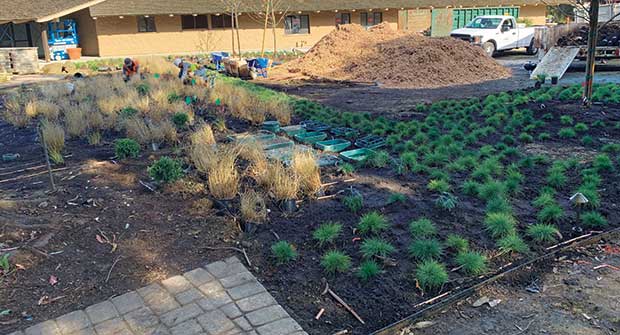 Irrigation renovation project (Photo: Gachina Landscape Management)