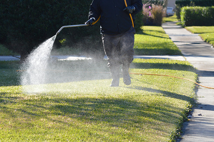 Photo courtesy of Corteva Agriscience