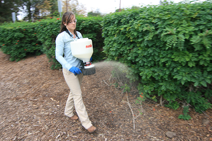 Photo courtesy of Corteva Agriscience