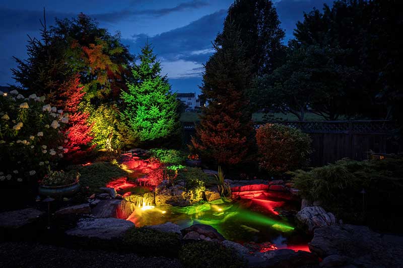 (Photo: Aquascape)