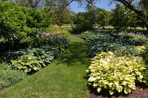 Landscape maintenance project (Photo: Moore Landscapes)