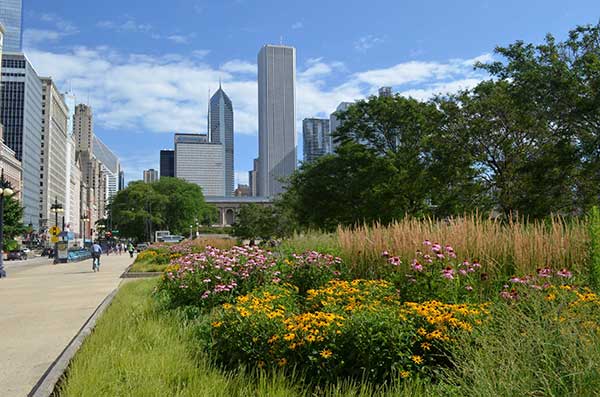 Landscape maintenance project (Photo: Moore Landscapes)