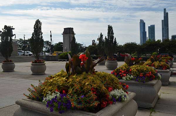 Landscape maintenance project (Photo: Moore Landscapes)