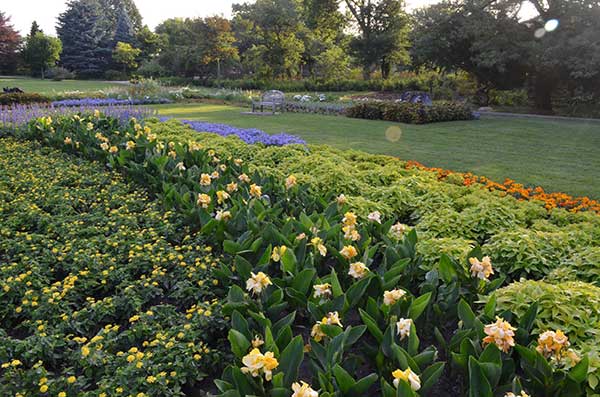 Landscape maintenance project (Photo: Moore Landscapes)