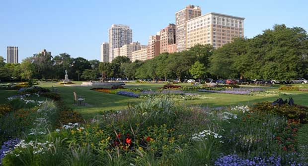 Landscape maintenance project (Photo: Moore Landscapes)