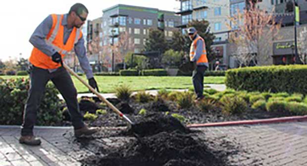 Crews working despite pandemic (Photo: LM Staff)