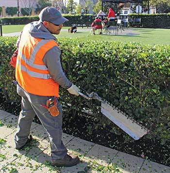 Landscaper working (Photo: LM Staff)