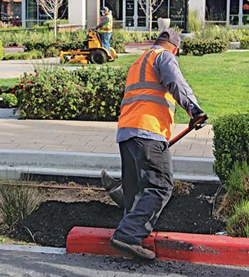 Landscaper working (Photo: LM Staff)