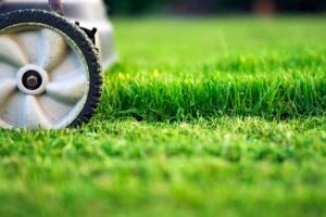 Photo: MariuszBlach/iStock / Getty Images Plus/Getty Images