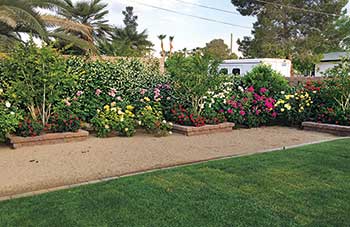 Fertigated landscape beds (Photo: VIP Landscaping)