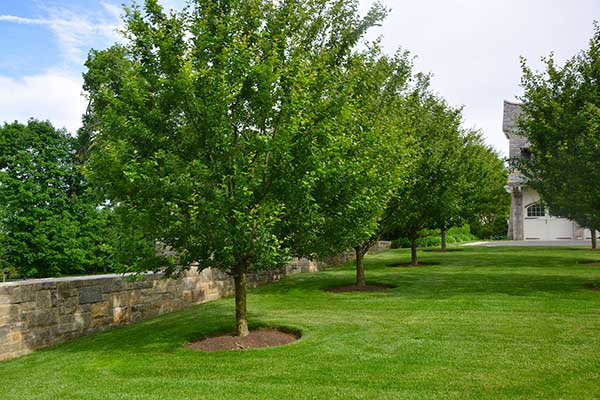Landscape maintenance project (Photo: Hoffman Landscaping)