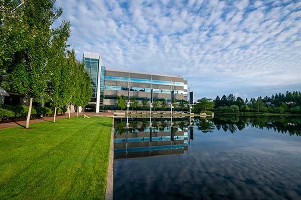 Irrigation project at corporate headquarters (Photo: Aralani Photography)