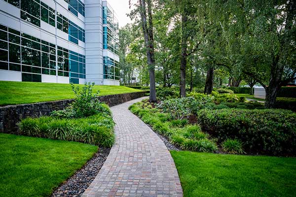 Irrigation project at corporate headquarters (Photo: Aralani Photography)