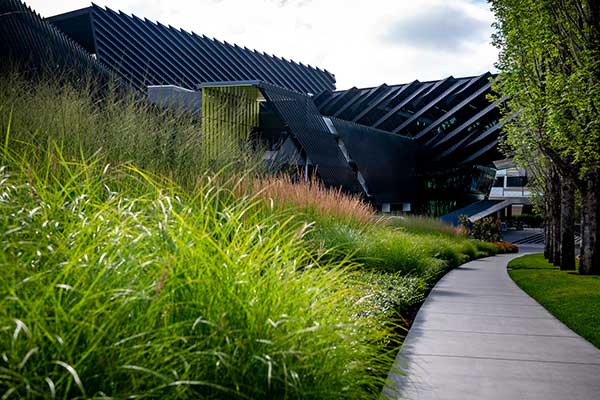 Irrigation project at corporate headquarters (Photo: Aralani Photography)